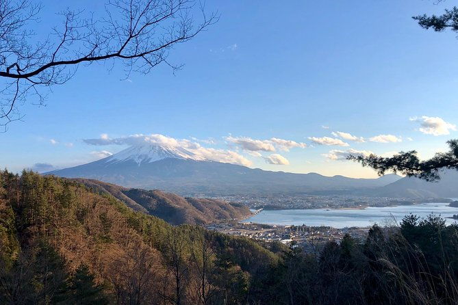 mt-fuji-area-private-guided-tours-in-english-nature-up-close-quiet-personal