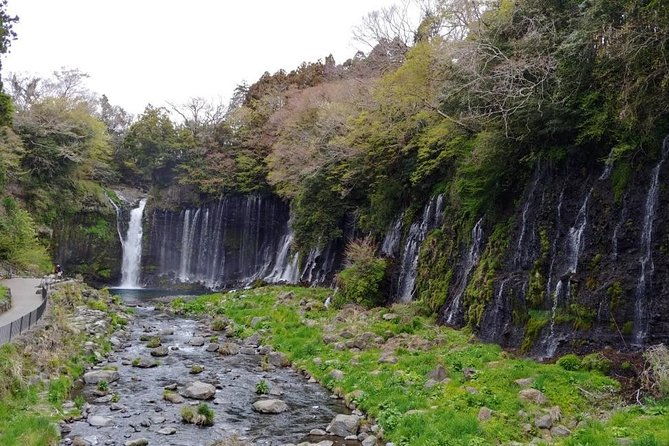 mt-fuji-chartered-taxi-tour