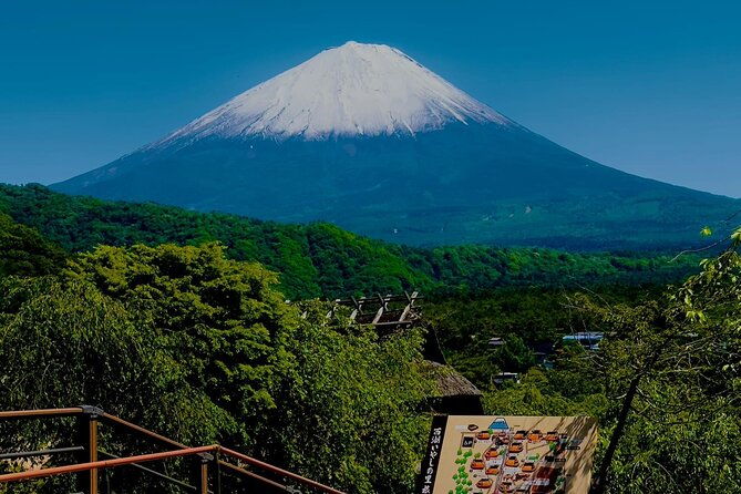 mt-fuji-cherry-blossom-one-day-private-tour-with-pickup