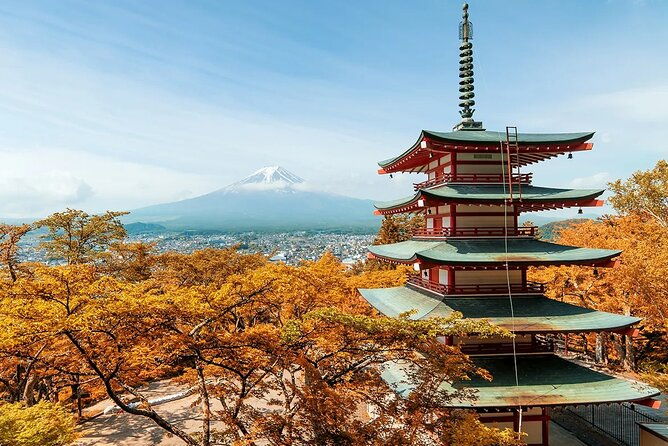 mt-fuji-exploration-tour-with-free-japanese-kusa-mochi-from-tokyo