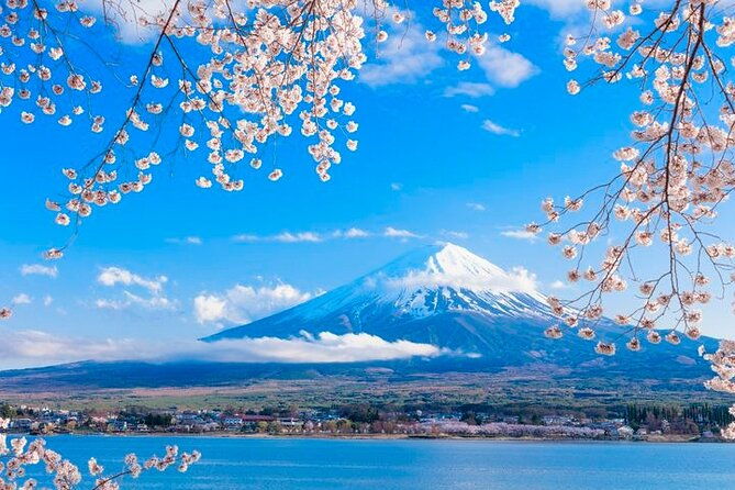 mt-fuji-five-lakes-area-private-tour-with-licensed-guidekawaguchiko-area-dep