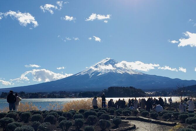 mt-fuji-hakone-guided-private-tour-green-number-plates