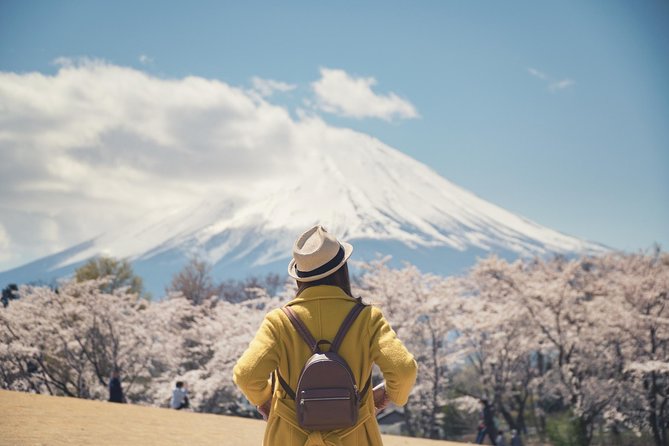 mt-fuji-hakone-private-day-tour-w-english-speaking-driver