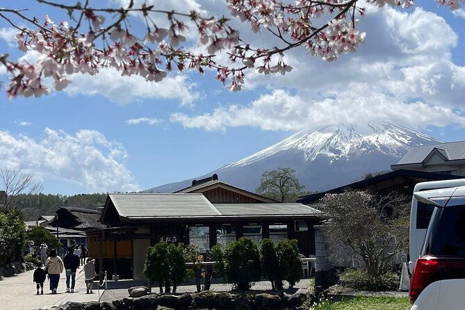 mt-fuji-hakone-private-day-tour-w-english-speaking-guide