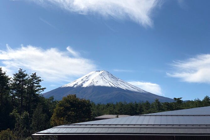 mt-fuji-hakone-tour-tokyo-hotel-pick-up-by-grayline