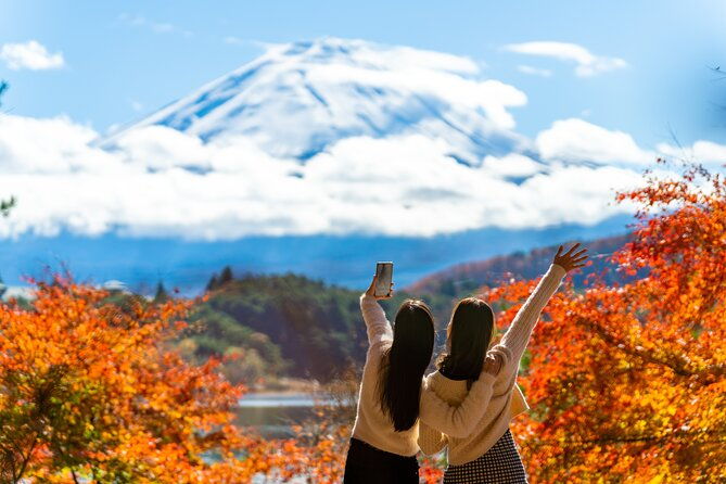 mt-fuji-highlight-photo-spots-one-day-tour-from-tokyo