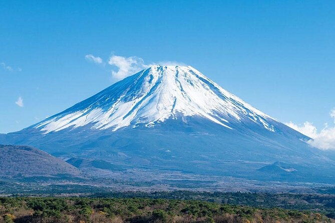 mt-fuji-oishi-park-arakurayama-sengen-park-bus-tour-from-tokyo
