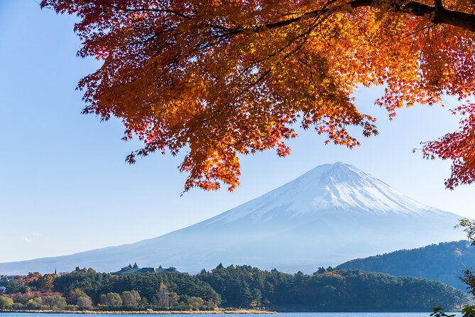 mt-fuji-or-hakone-private-sightseeing-day-trip-from-tokyo