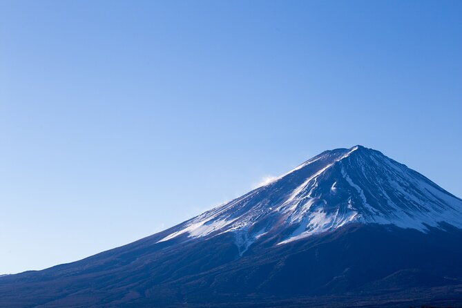 mt-fuji-panoramic-ropeway-seasonal-fruits-picking