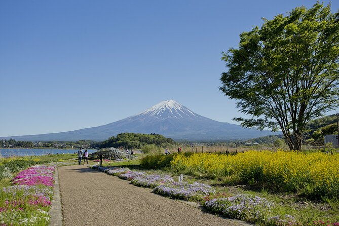 mt-fuji-private-sightseeing-day-tour-from-tokyo