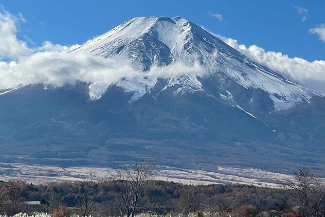mt-fuji-private-sightseeing-tour-from-tokyo