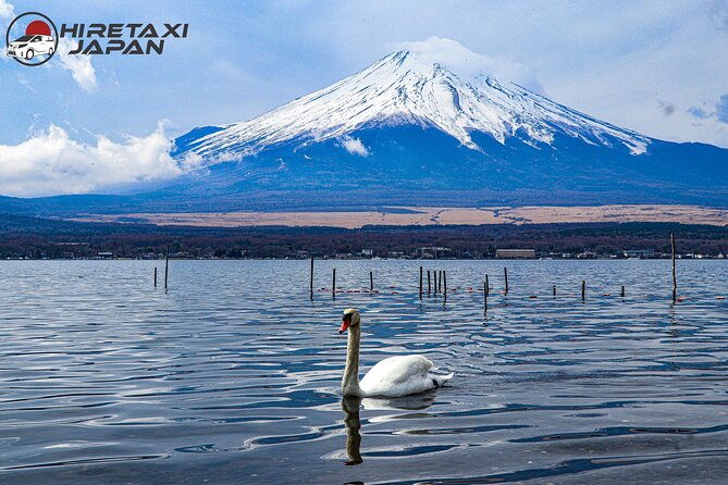 mt-fuji-private-tour-delivered-and-guided-by-a-top-tier-driver