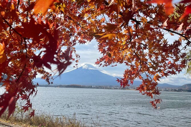 mt-fuji-private-tour-with-english-speaking-driver-2