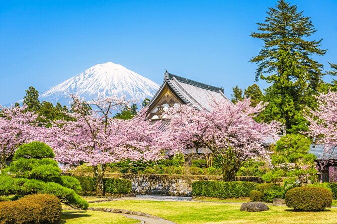 mt-fuji-tour-in-lake-kawaguchi-and-oshino-hakkai