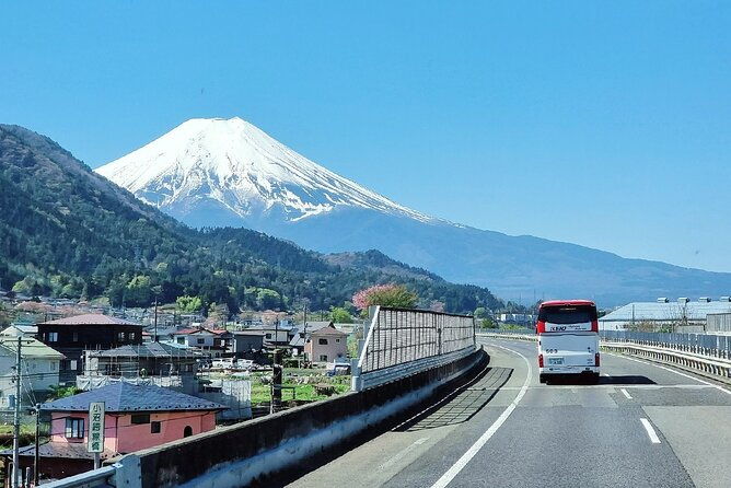 mt-fuji-view-and-2hours-free-time-at-gotemba-premium-outlets