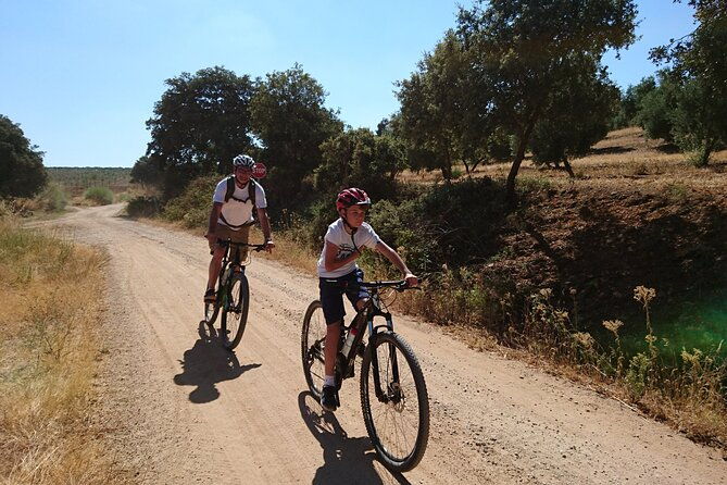 mtb-self-guided-setenil-de-las-bodegas-30km-easy