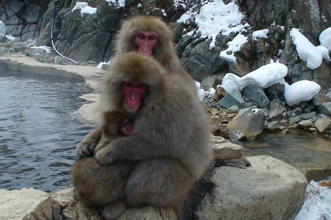 nagano-ski-buffet