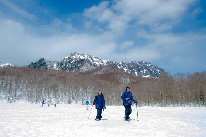 nagano-winter-special-tour-snow-monkey-and-snowshoe-hiking
