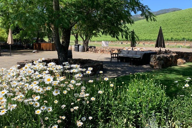 napa-sonoma-wine-tour-6-8hr-private-fully-customized-xl-suv