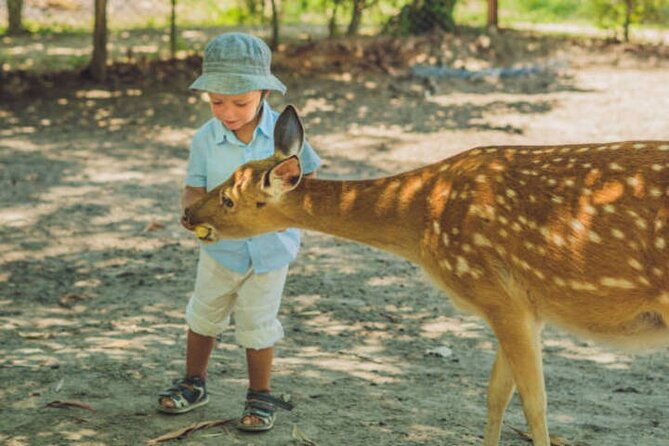 nara-personalized-half-day-food-tour-with-a-local-guide