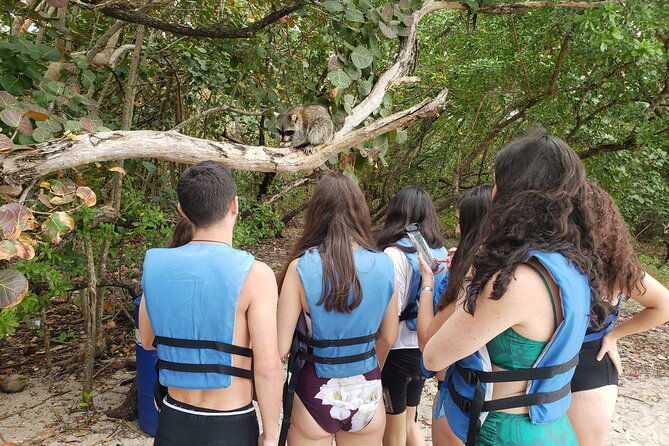 nature-island-exploration-on-sup-kayak