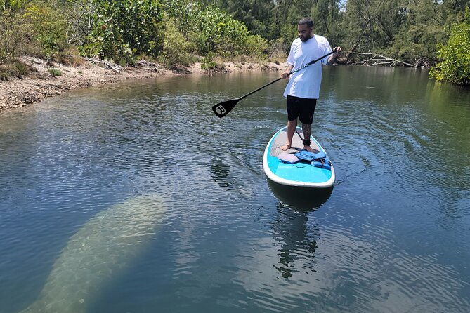 nature-stand-up-paddle-boarding-experience-in-miami