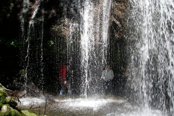 nature-tour-around-waterfalls-that-exudes-from-the-beech-forest-nishiwaga-town-iwate-prefecture