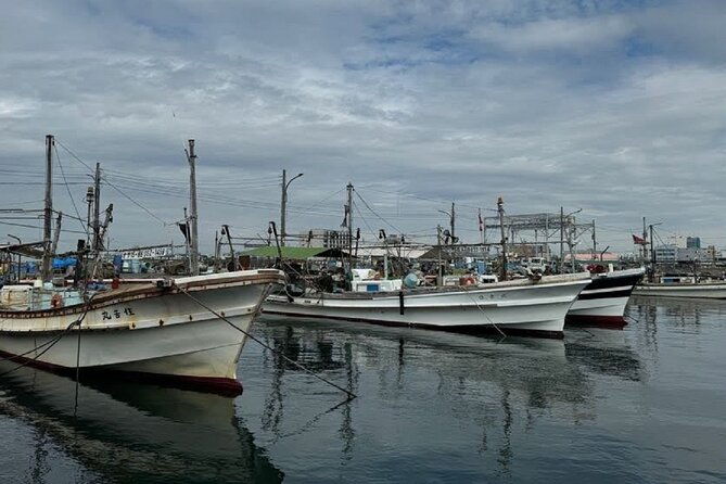 near-kix-fishing-market-tour-with-local-guide