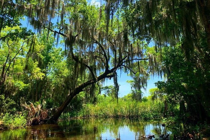 new-orleans-swamp-tour-boat-adventure-with-transportation