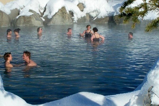northern-lights-and-chena-hot-springs-tour-from-fairbanks