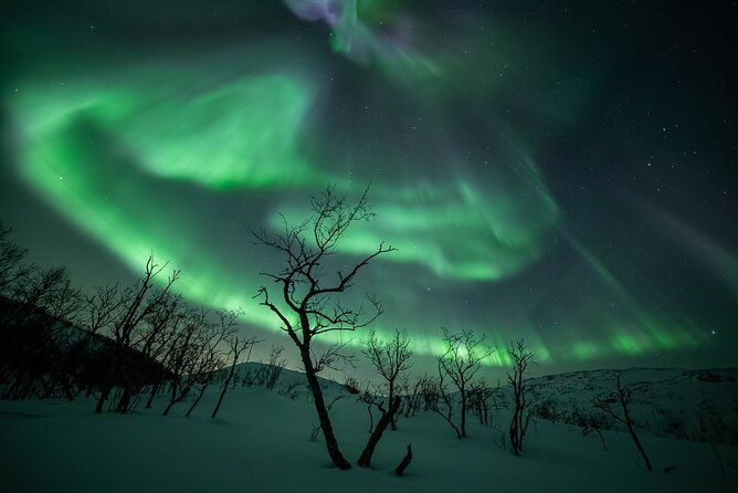 northern-lights-expedition-with-arctic-photo-guide-max-6-guests