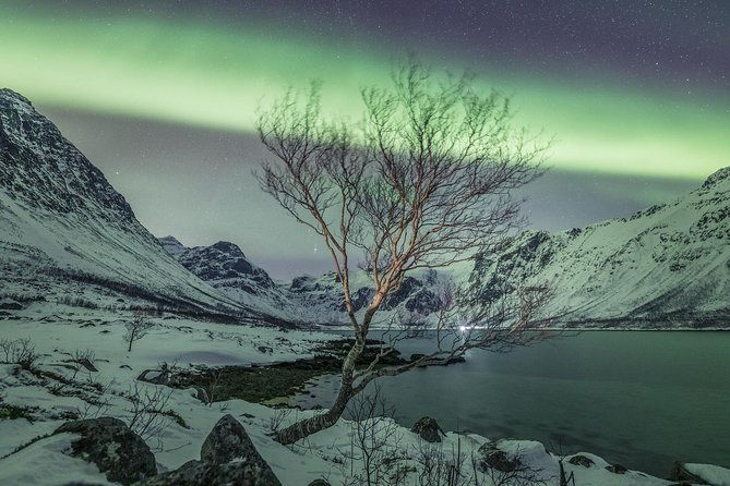 northern-lights-private-tour-with-your-special-ones-greenlander