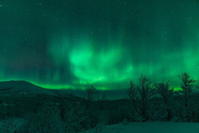 northern-lights-tour-from-kiruna-to-abisko-with-dinner