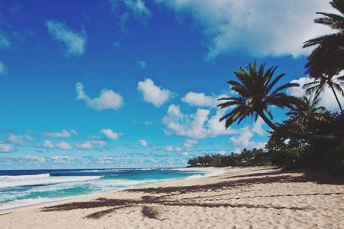 oahu-circle-island-snorkel-with-turtles-explore-in-small-group