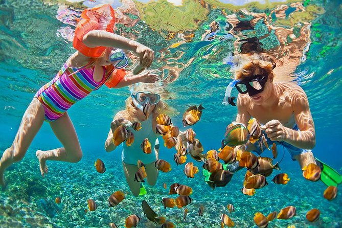 oahus-ultimate-tour-dole-turtle-snorkel-byodo-temple