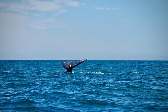 ocean-kayaking-experience-in-brookings