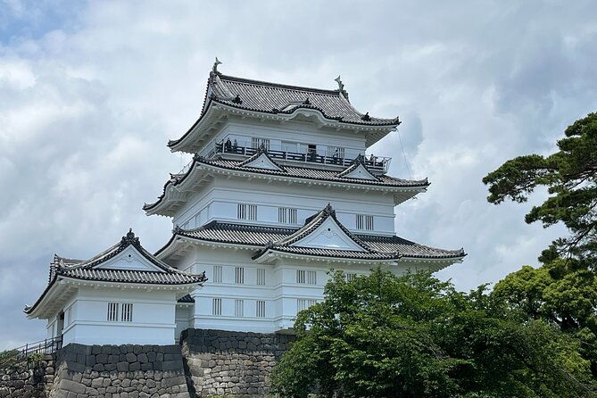 odawara-castle-sightseeing-tour-by-shinkansen