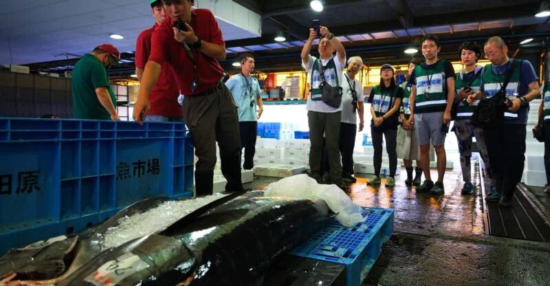 odawara-odawara-fish-market-experience