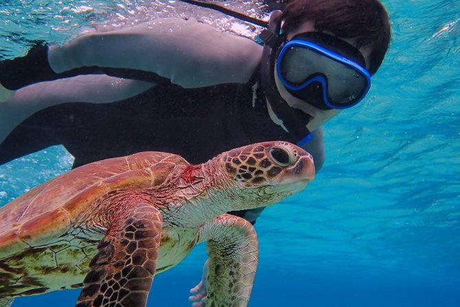 okinawa-miyako-sup-canoe-sea-turtle-snorkeling-half-day-course