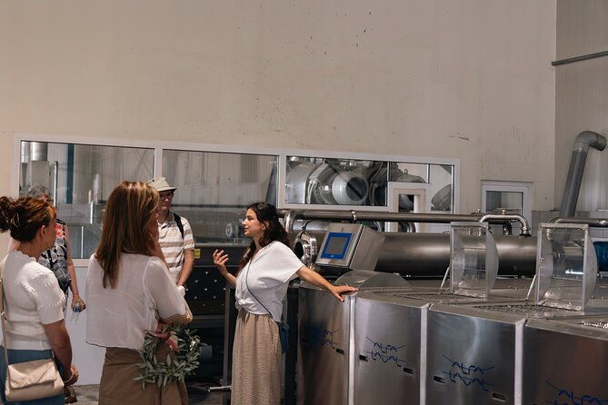 olive-oil-mill-visit-kalamata-olives-and-olive-oil-tasting