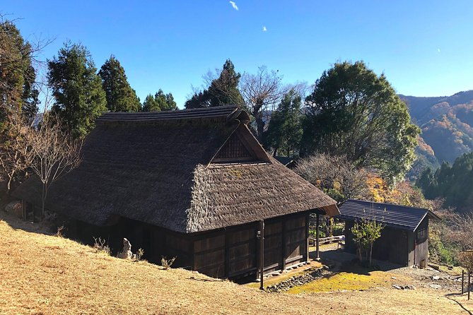 one-day-tour-of-tokyos-plentiful-nature-in-hinohara-village