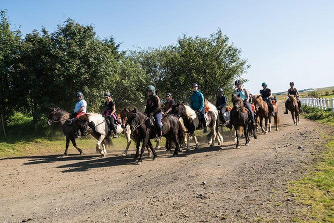 one-hour-horseback-riding-tour-in-the-icelandic-countryside