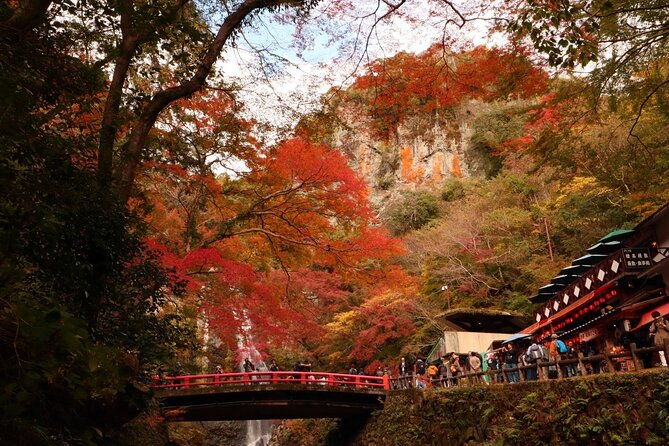 osaka-8-hours-tour-explore-city-and-minoh-falls