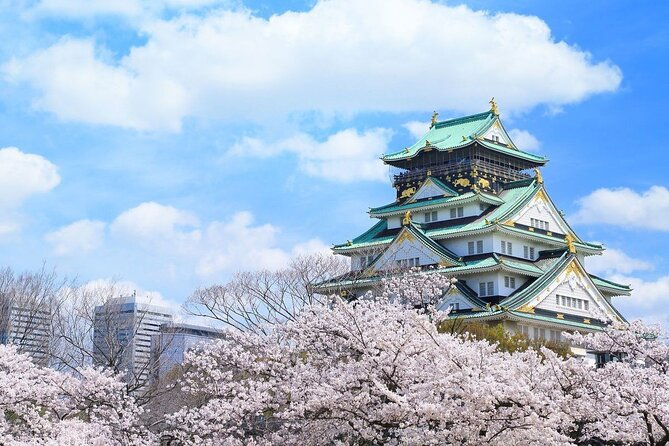 osaka-and-nara-cherry-blossom-one-day-private-tour