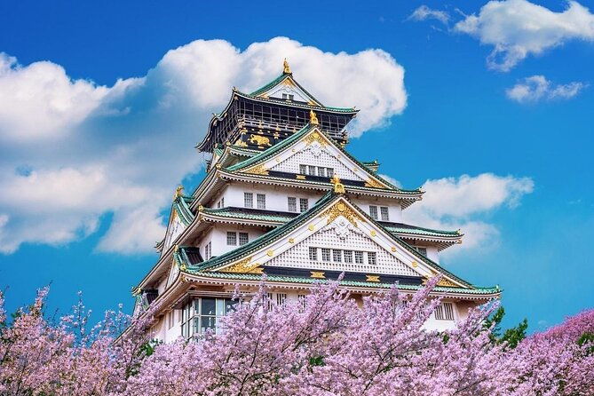 osaka-cherry-blossom-tour-with-a-local-100-personalized-private