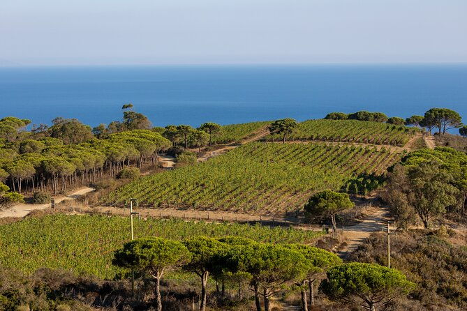 osteria-senzoste-not-an-ordinary-osteria-at-tenuta-delle-ripalte