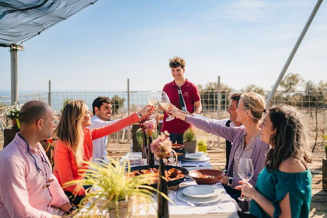 paella-cooking-experience-winery-tour-from-barcelona