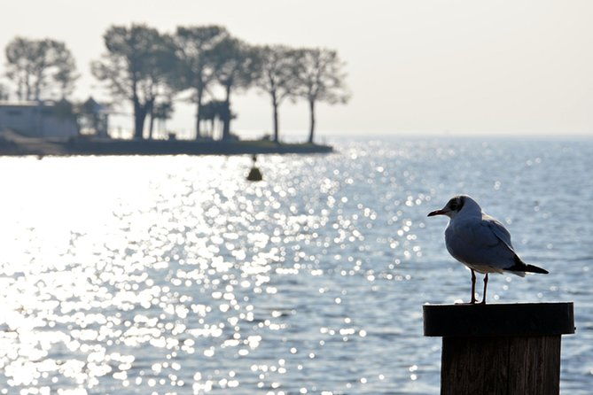 pagus-wine-tours-lake-garda-and-amarone-full-day-wine-tour