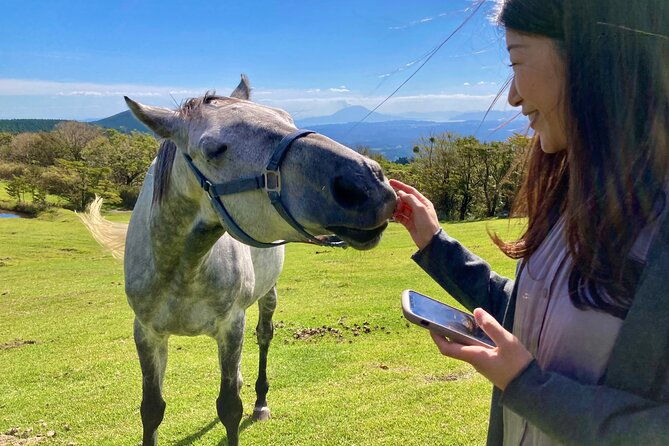 pasture-hike-with-horse-whisperer-at-horse-trust-in-kagoshima