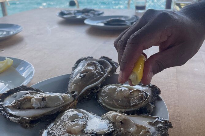 peljesac-wine-oysters-and-food-tour-from-dubrovnik